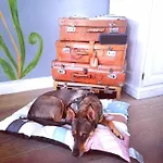 Italia It.cu 公寓 *