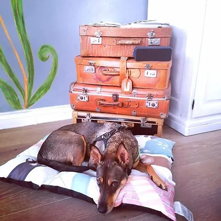 Italia It.cu Apartment *