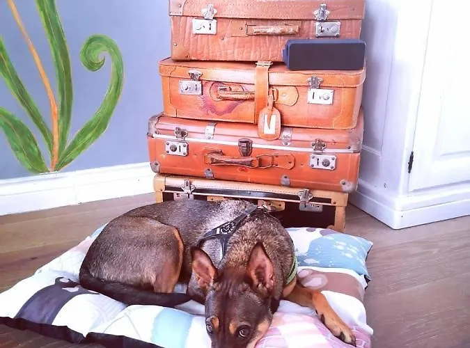 Italia It.cu アパート *